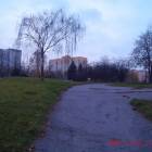 zdjęcie nr 23