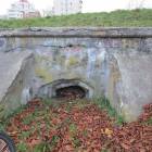 zdjęcie nr 43
