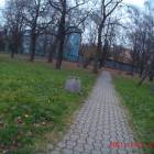 zdjęcie nr 7