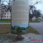zdjęcie nr 23