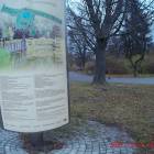 zdjęcie nr 24