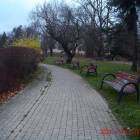 zdjęcie nr 31