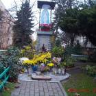 zdjęcie nr 36