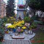 zdjęcie nr 38