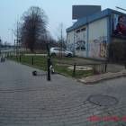 zdjęcie nr 7