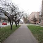 zdjęcie nr 21