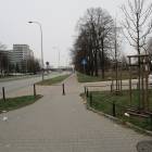 zdjęcie nr 38