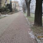 zdjęcie nr 8