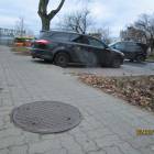 zdjęcie nr 7