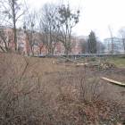 zdjęcie nr 50