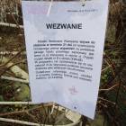 zdjęcie nr 14