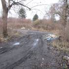 zdjęcie nr 7