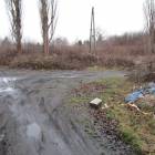 zdjęcie nr 8