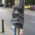 zdjęcie nr 22