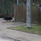 zdjęcie nr 7
