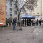 zdjęcie nr 41