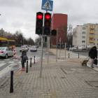 zdjęcie nr 14