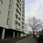 Fotka nr 1 z 13