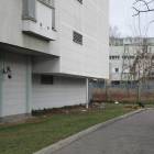 Fotka nr 3 z 13