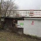 Fotka nr 5 z 28