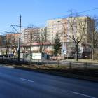 zdjęcie nr 7