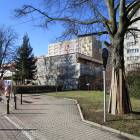 zdjęcie nr 8