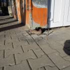 zdjęcie nr 44