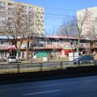 zdjęcie nr 77