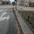 zdjęcie nr 7