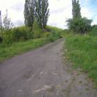 zdjęcie nr 20