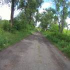 zdjęcie nr 41