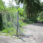 zdjęcie nr 48