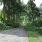 zdjęcie nr 49