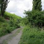zdjęcie nr 58