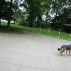 zdjęcie nr 84