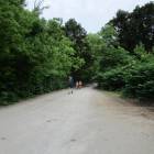 zdjęcie nr 117