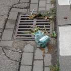 zdjęcie nr 8