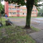 Fotka nr 2 z 17