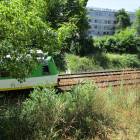 Fotka nr 1 z 13