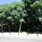 zdjęcie nr 62