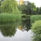 zdjęcie nr 13