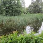 zdjęcie nr 33