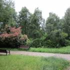 zdjęcie nr 41