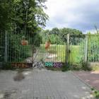 Fotka nr 3 z 10