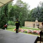 zdjęcie nr 263