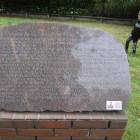 zdjęcie nr 90
