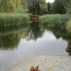 zdjęcie nr 8