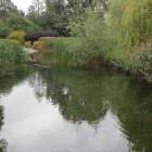 zdjęcie nr 16