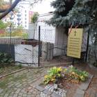 zdjęcie nr 13