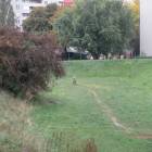 zdjęcie nr 11